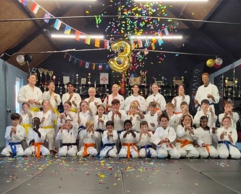 🥋🎉 HAITO KARATE TURNS 3! 🎉🥋