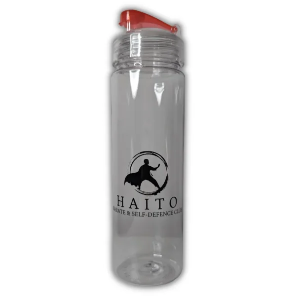 HAITO Drinking Bottle With Fruit Infuser