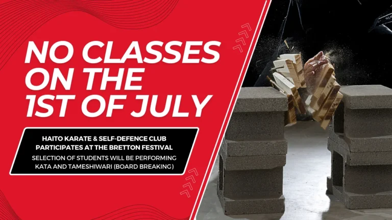 HAITO Karate at The Bretton Festival No Classes on July 1st!