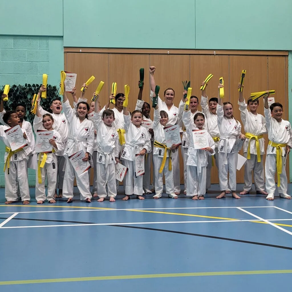 Hampton dojo