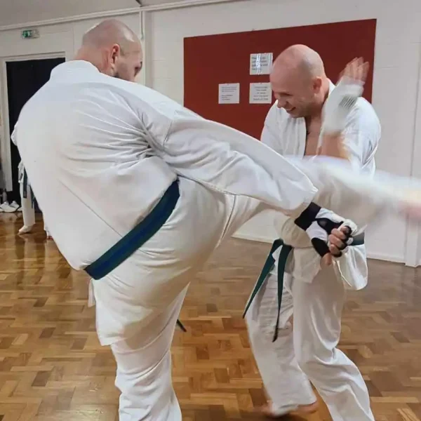 Teenagers 10 years old and Adults Classes