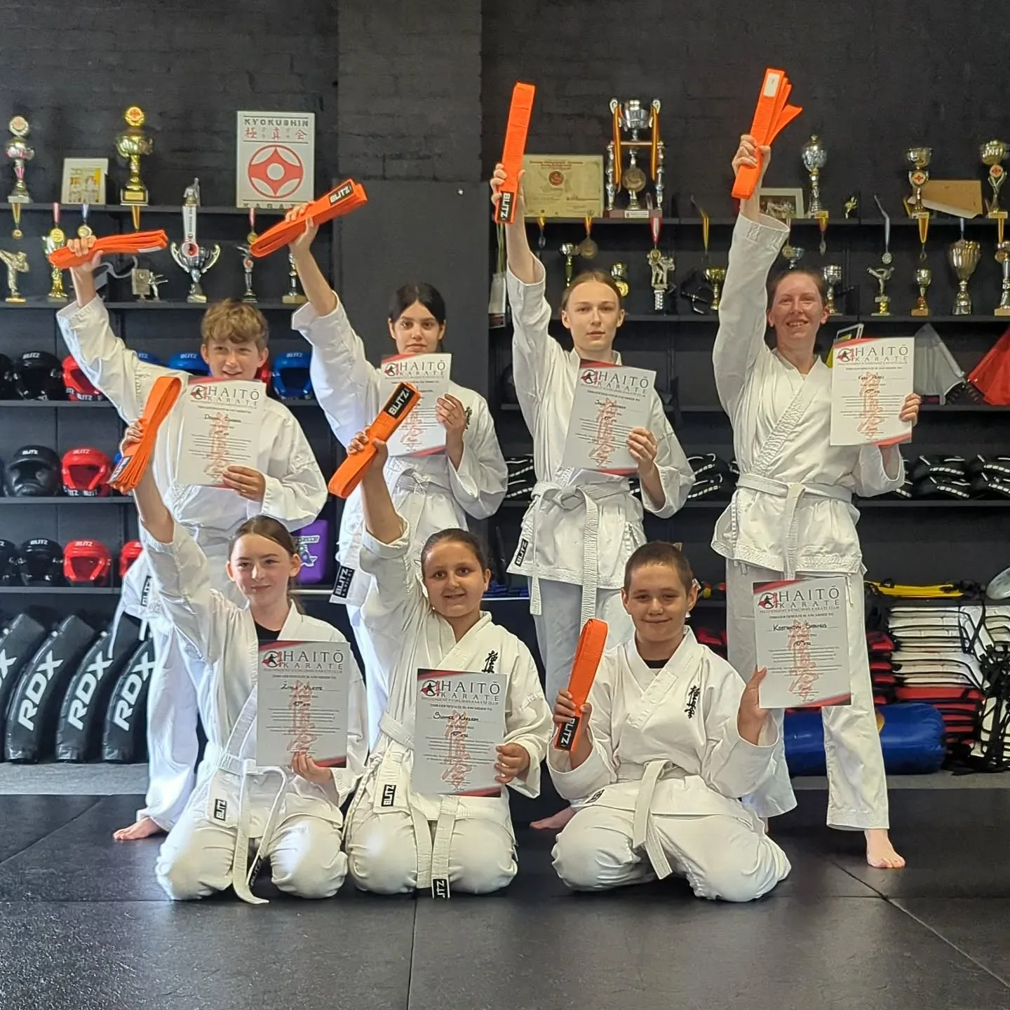 For the guy that said he wanted to know some karate moves : r/martialarts, image size:1440x1440