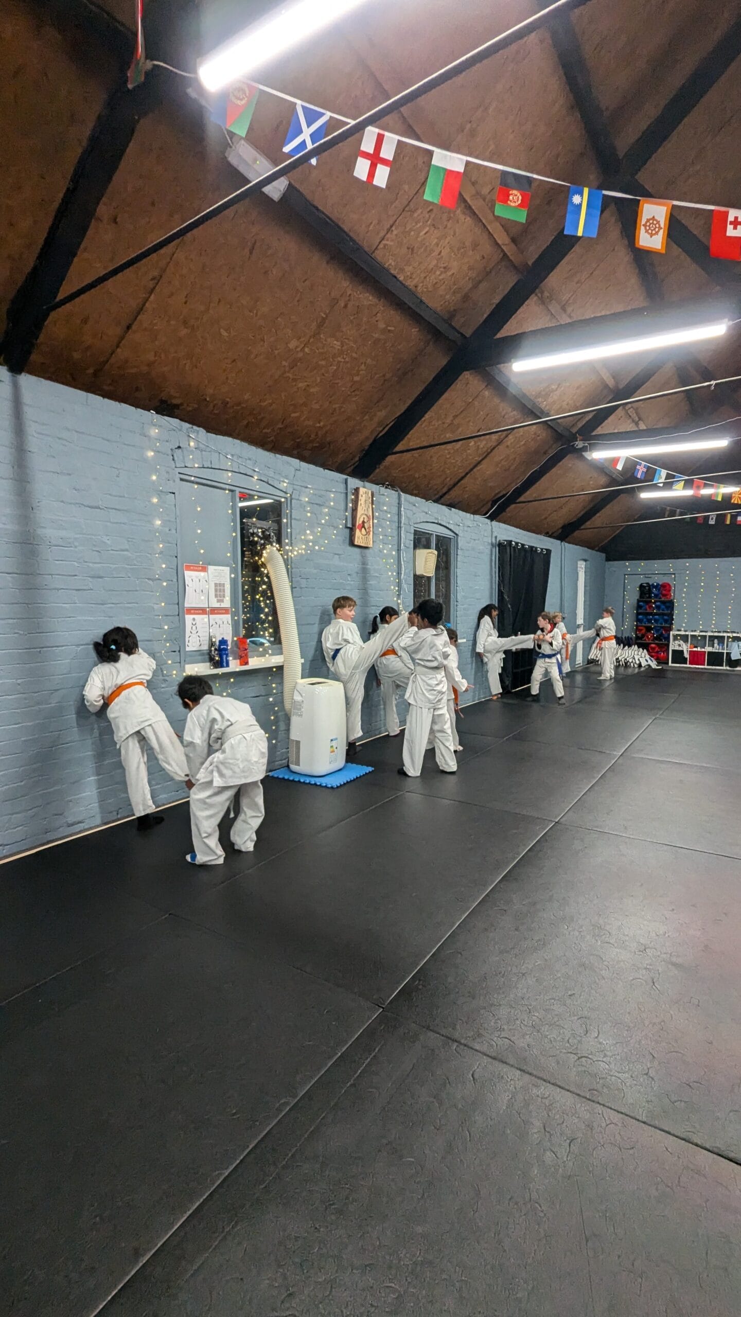 Kids Karate Class - New Image 1