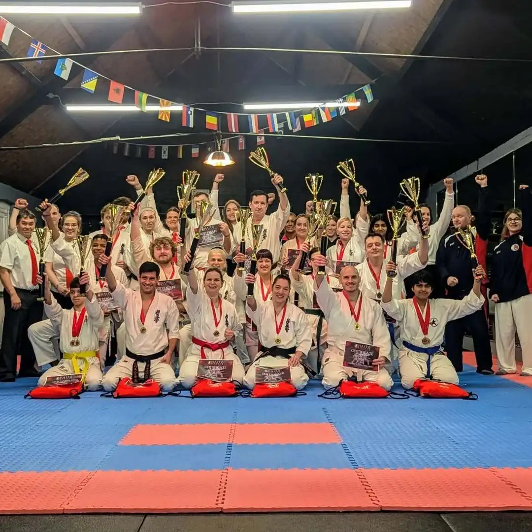 Adults Karate Class Action