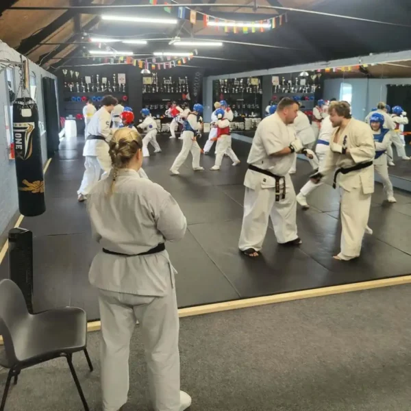 Seniors karate classes 5