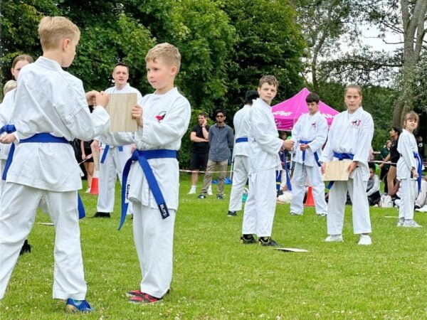 Tameshiwari Board Breaking