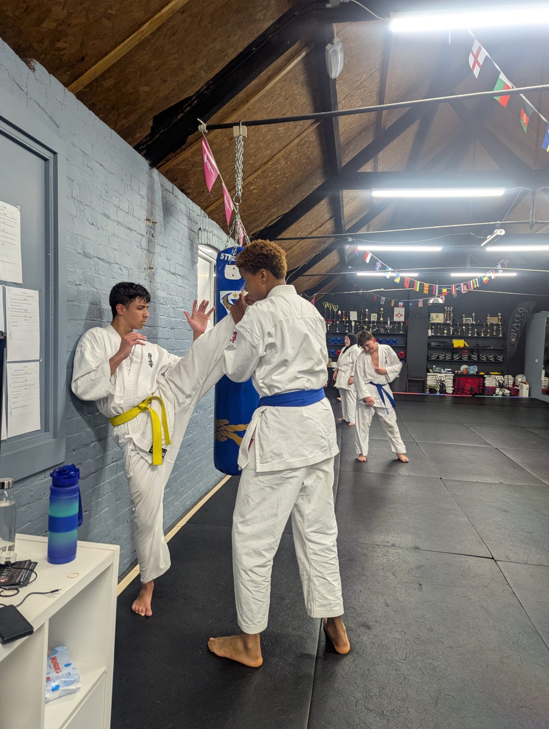 Adults Karate Strength Training