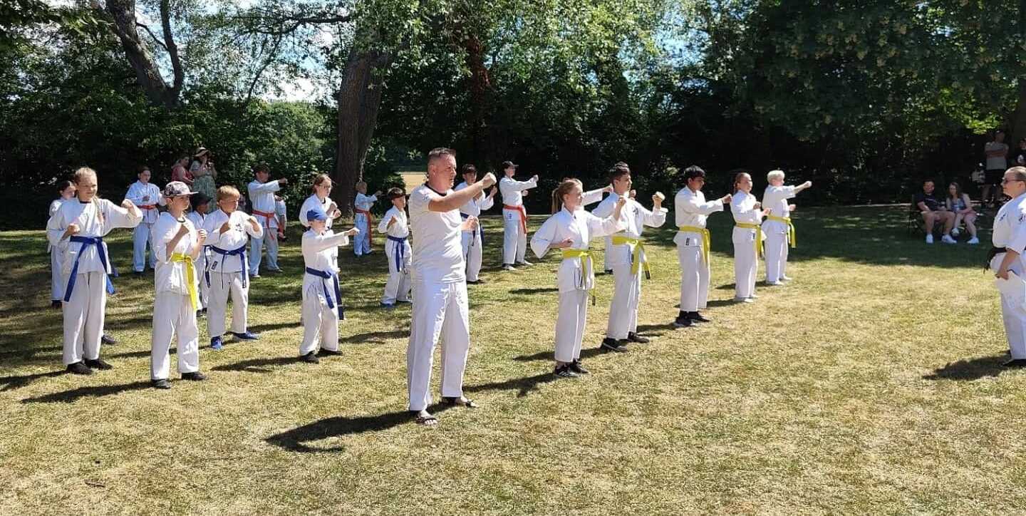 Karate in the Park